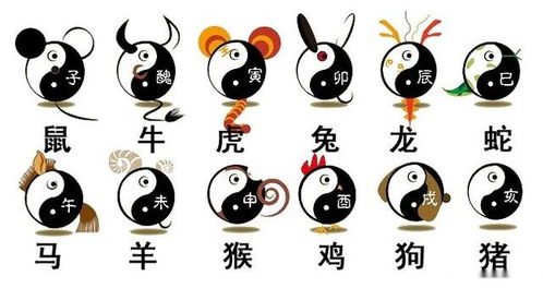 十二生肖每月每日运程(十二生肖每月运势详解_十二生肖_卜易居手机版) 十二生肖每月每日运程(十二生肖每月运势详解_十二生肖_卜易居手机版)