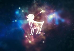 12星座大全谁最霸气(十二星座哪几个星座最霸气) 12星座大全谁最霸气(十二星座哪几个星座最霸气)