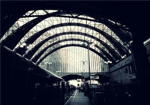 织女星是哪个星座（织女星位于哪一个星座）