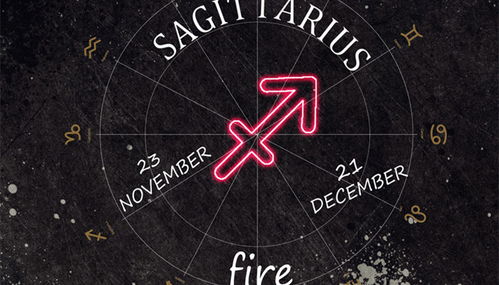 注定和射手走完一生的星座(和射手关系好的星座) 注定和射手走完一生的星座(和射手关系好的星座)