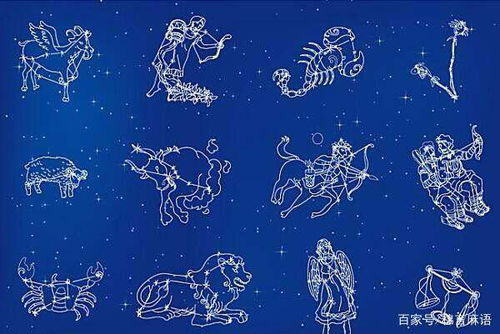 十二星座本命神器（十二星座的命运之花）