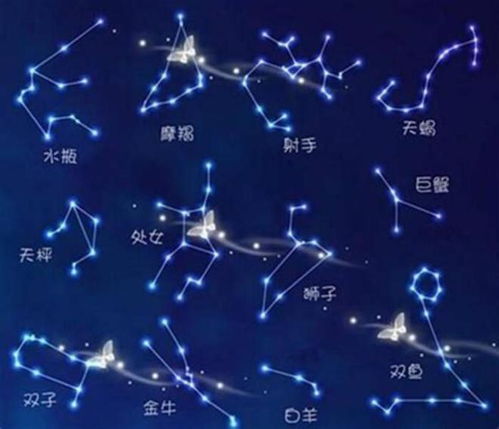十二星座里面都有什么星座（十二星座里面分别有哪些星座）