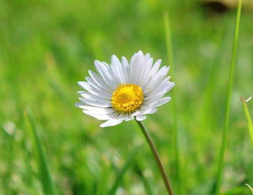 9月1日是什么星座男(9月1日是什么星座男生性格特点) 9月1日是什么星座男(9月1日是什么星座男生性格特点)