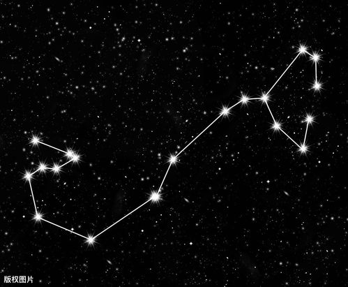 摩羯座的十大缺点(摩羯座的十大缺点是什么) 摩羯座的十大缺点(摩羯座的十大缺点是什么)