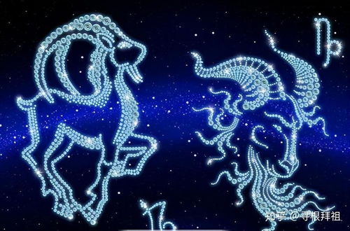 摩羯座中的高级摩羯(摩羯座的高冷排行) 摩羯座中的高级摩羯(摩羯座的高冷排行)