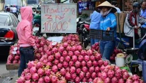 双节同庆 进口水果热销中国中部市场 双节同庆 进口水果热销中国中部市场