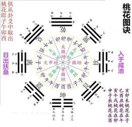生肖星座运势分析2022（生肖星座运势分析2022最新）