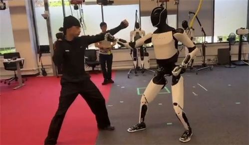 马斯克回应特斯拉机器人练功夫:是AI不是遥控 马斯克回应特斯拉机器人练功夫:是AI不是遥控