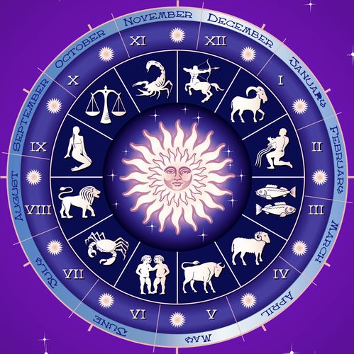 星座运势查询2024年运程（2024年的星座）