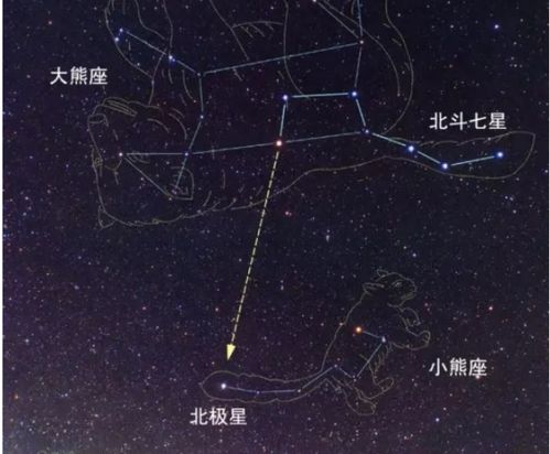 北极星属于什么星座(北极星属于什么星座北斗七星属于什么星座) 北极星属于什么星座(北极星属于什么星座北斗七星属于什么星座)