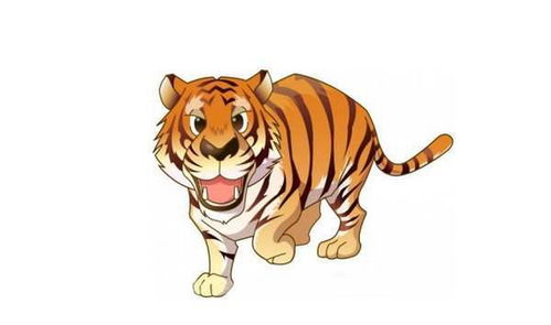 属虎的是什么星座（74年属虎的是什么星座）