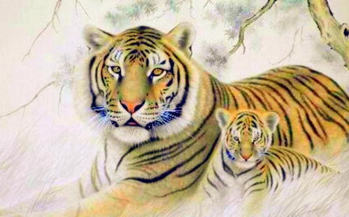 属虎的是什么星座（74年属虎的是什么星座）