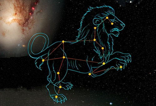 狮子座星座性格(狮子星座的性格与命运) 狮子座星座性格(狮子星座的性格与命运)