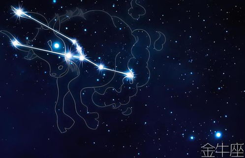 2024年金牛座彻底大爆发(2021年下半年金牛座会遭遇) 2024年金牛座彻底大爆发(2021年下半年金牛座会遭遇)