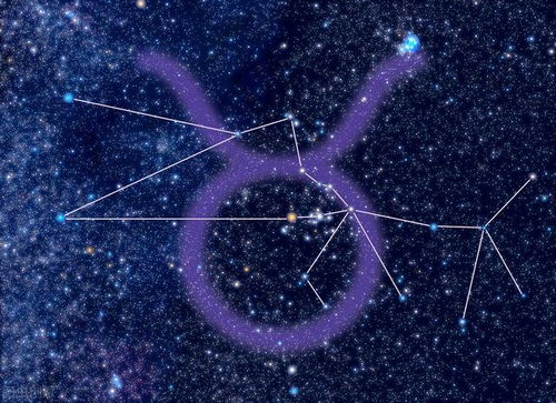 2024年金牛座彻底大爆发(2021年下半年金牛座会遭遇) 2024年金牛座彻底大爆发(2021年下半年金牛座会遭遇)