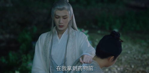 长相思电视剧45集免费（长相思 电视剧）