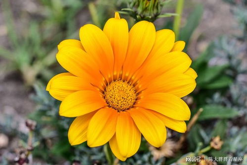 白羊座运势2022年运势详解,白羊座运势2022年运势详解女生 白羊座运势2022年运势详解,白羊座运势2022年运势详解女生