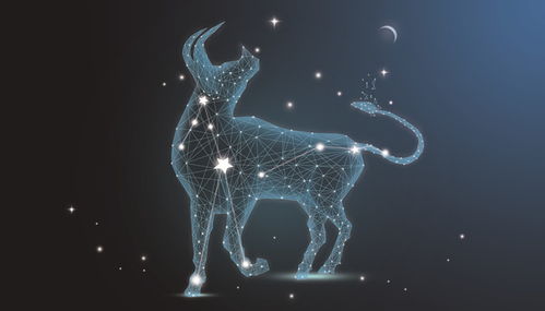 金牛座女性格特点分析,金牛女最大弱点 金牛座女性格特点分析,金牛女最大弱点