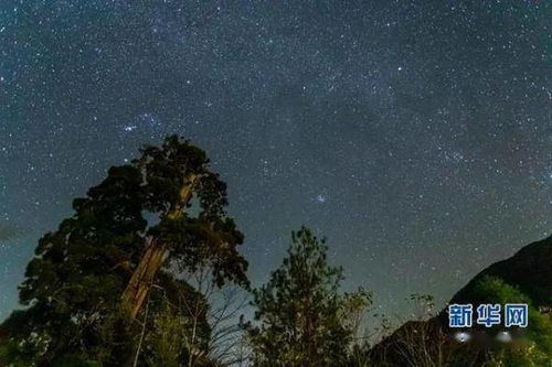 双子座流星雨在哪个方向,双子座流星雨在什么地方可以看到 双子座流星雨在哪个方向,双子座流星雨在什么地方可以看到