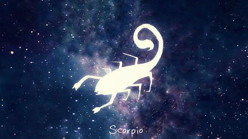 当天蝎男对你有性冲动的表现,天蝎男对性很随便吗 当天蝎男对你有性冲动的表现,天蝎男对性很随便吗