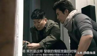 全集电视剧免费观看（妻不可欺全集电视剧免费观看）