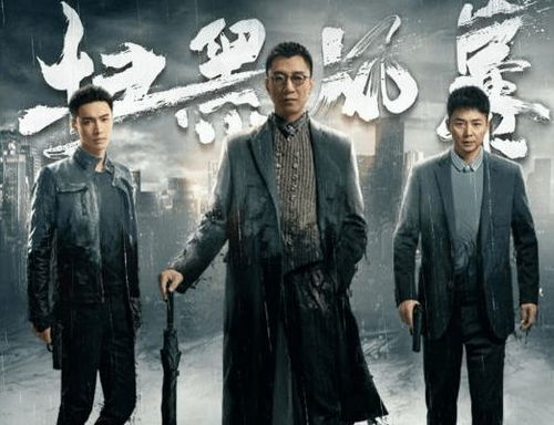 《扫黑风暴》免费观看完整版（扫毒风暴全集观看）