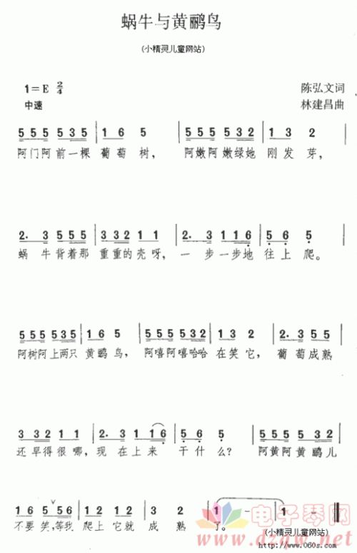 歌曲曲谱大全（歌曲曲谱大全简谱 电子琴）