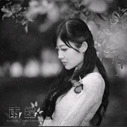 雨蝶伴奏（雨碟伴奏）