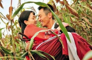 红高粱电视剧免费全集（红高粱电视剧免费全集高清）