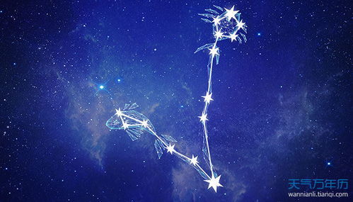 天蝎男和什么星座女最合适,天蝎男和哪个星座女有致命吸引力 天蝎男和什么星座女最合适,天蝎男和哪个星座女有致命吸引力