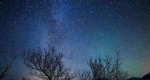 射手座的占有欲的表现,射手座占有欲多少 射手座的占有欲的表现,射手座占有欲多少