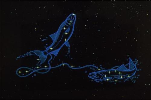 双鱼男爱上双子女的后果，双鱼男爱上双子女的后果会怎样