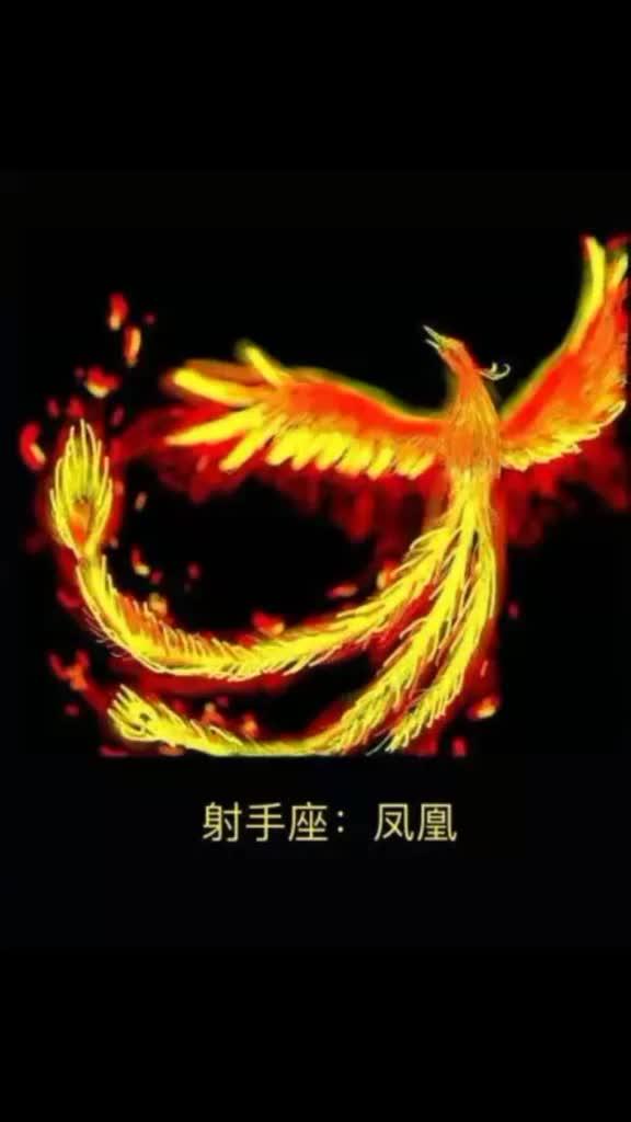 12星座的守护神兽图片，12星座的守护神兽 图集
