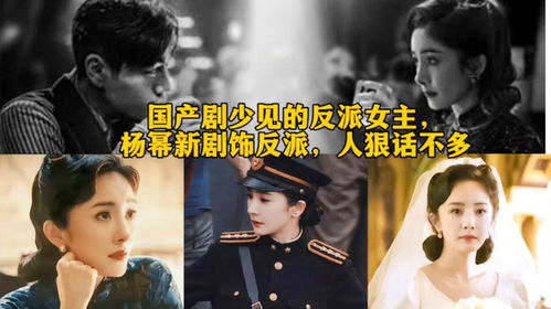 女士的法则电视剧免费观看（女士的法则电视剧免费观看抢先看）