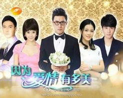 因为爱情有多美电视剧（因为爱情有多美电视剧免费观看）