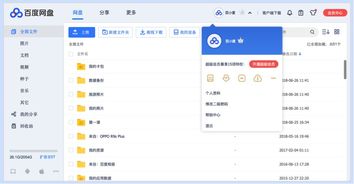 百度网盘网页版入口（百度网盘网页版入口手机版）
