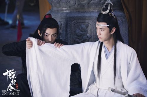 哪里可以看陈情令电视剧全集免费（哪里能看免费的陈情令电视剧全集）
