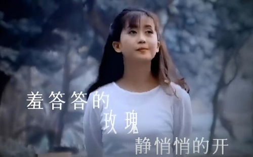 羞答答的玫瑰静悄悄的开（羞答答的玫瑰静悄悄的开dj版原唱）