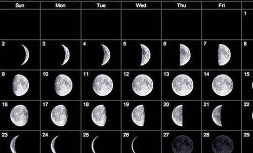 一月份什么星座是什么星座,一月份的星座是什么座 一月份什么星座是什么星座,一月份的星座是什么座