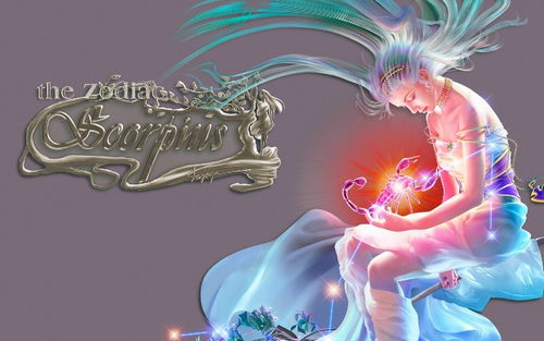 会用生命保护天蝎女的星座男，能保护天蝎女的星座男