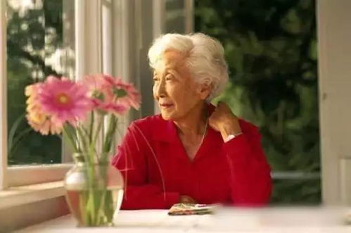 关于母亲的歌曲15首(关于母亲的歌有哪些歌) 关于母亲的歌曲15首(关于母亲的歌有哪些歌)