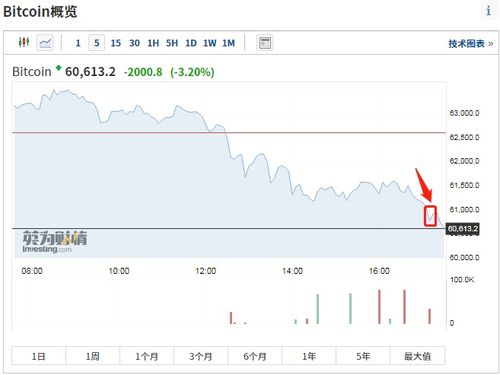 比特币价格触及历史高点后,加密货币相关股票应声上涨 比特币价格触及历史高点后,加密货币相关股票应声上涨