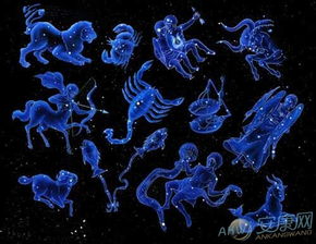 12星座最配的一对,12星座里最配的星座 12星座最配的一对,12星座里最配的星座