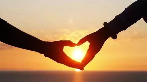 彼此珍惜句子(珍惜彼此的一句话) 彼此珍惜句子(珍惜彼此的一句话)