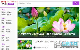 搜狐星座今日运势查询，手机搜狐星座运势