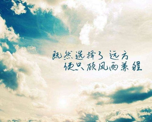 不负韶华的励志句子(不负韶华的励志语) 不负韶华的励志句子(不负韶华的励志语)