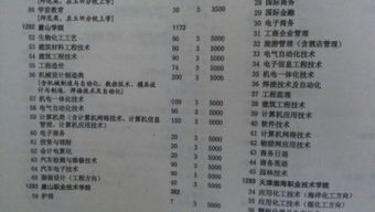 学校代码及专业代码查询网（学校代码及专业代码查询网4位数）