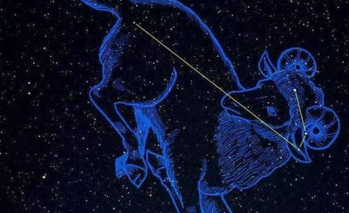 白羊座女生的优点和缺点,白羊座的女生有什么特点? 白羊座女生的优点和缺点,白羊座的女生有什么特点?