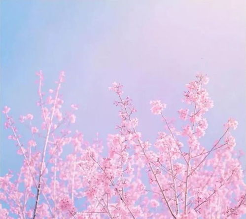 怎么挽回天蝎男,怎么挽回天蝎男的心重新爱上你 怎么挽回天蝎男,怎么挽回天蝎男的心重新爱上你