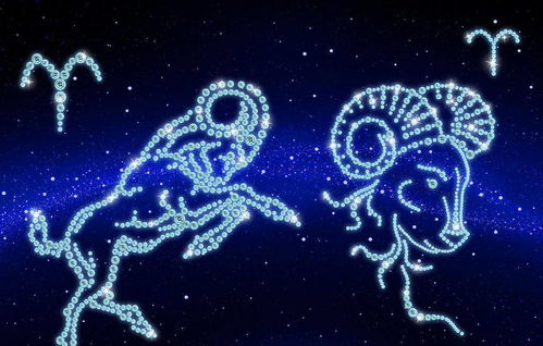 星座网址导航，首页星座网站